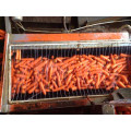 New crop Chinese carrot for wholesale top grade red natural carrots
